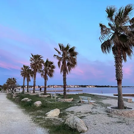 Apartment Aneri Vir